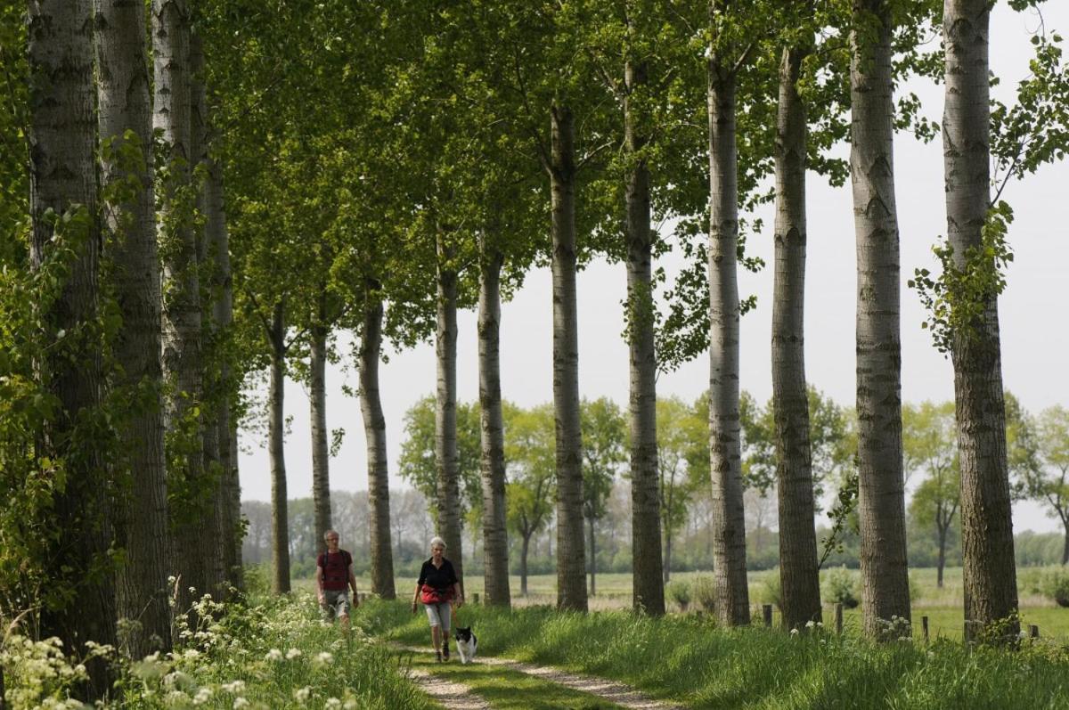 'relax Sea' - Wellness In Zeeland - Private Sauna - Airco - Garden - Outdoor Swimming Pool - Free Wifi, Towels & Bed Linen Heinkenszand